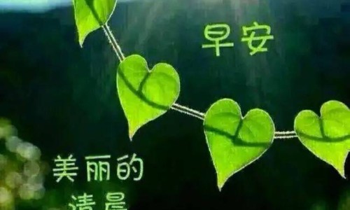 界界乐是哪里的牌子-界界乐生产厂家-界界乐是饮料吗,中国美国界界乐的功效网站